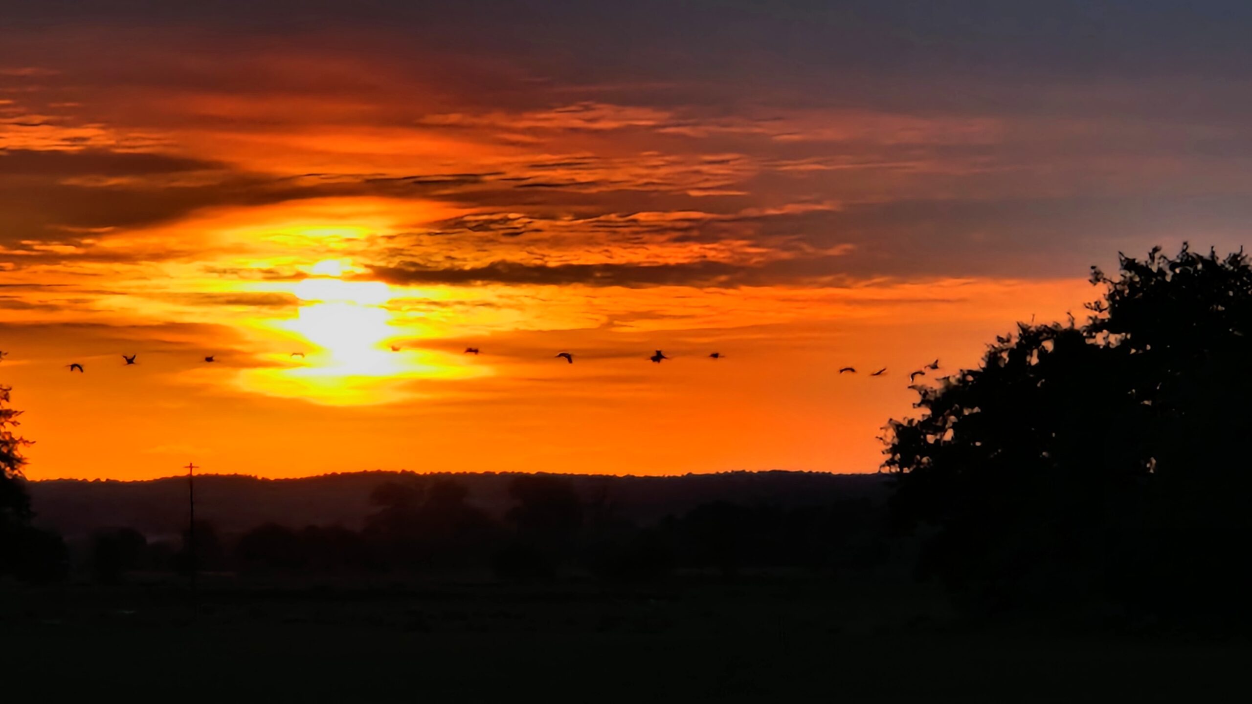 Mondschein-Erlebniswanderung: Von Netzen zum Vogelbeobachtungsturm am ...